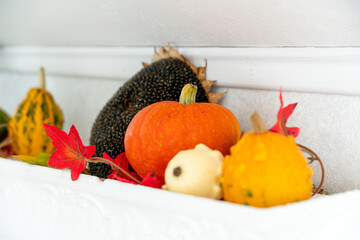 Autumn composition with pumpkins in the interior of a bright living room