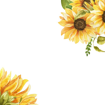 decorative watercolor sunflowers border transparent background frame