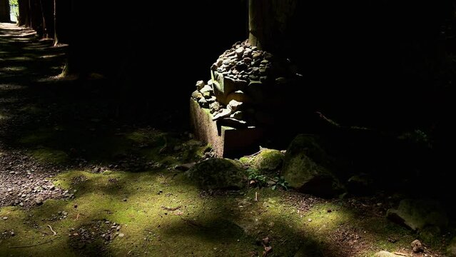 日本の苔むしたお寺の朝の参道