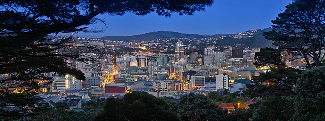City and skyline with modern buildings at night,  Wellington, New Zealand night, city, water, river, skyline, reflection, lights, cityscape, bridge, building, architecture