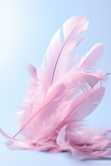 Pink Feathers Abstract Background