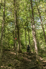 Girl hiking in the Forest near lake in La Mauricie National Park Quebec, Canada on a beautiful day