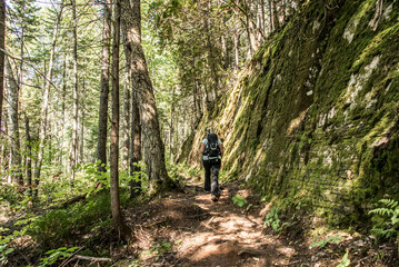 Naklejka na ściany i meble Girl hiking in the Forest near lake in La Mauricie National Park Quebec, Canada on a beautiful day