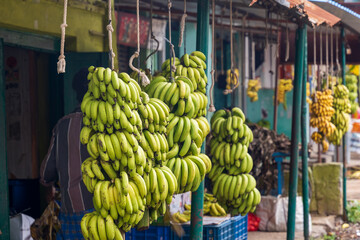Ripe and unripe banana bunches on display for sale