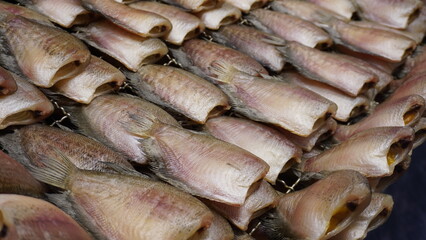 dried fish on the market