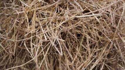 dry grass background