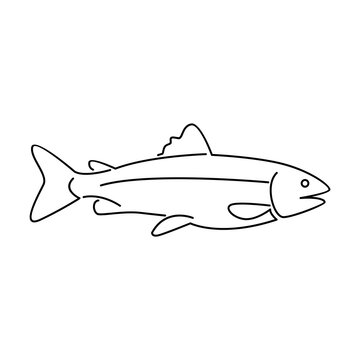 recommend clip art: Salmon Fish outline illustration