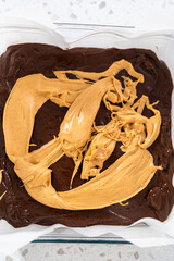 Chocolate fudge with peanut butter swirl