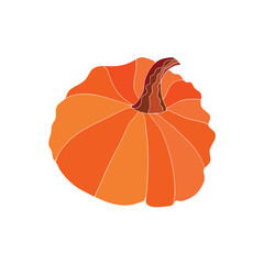 Ripe pumpkin isolated on white back. Vector illustration