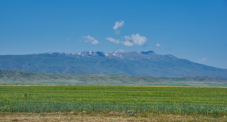 Suusamyr Valley