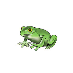 Frog left
