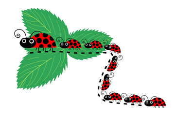 ladybug on a leaf © phawitchayada