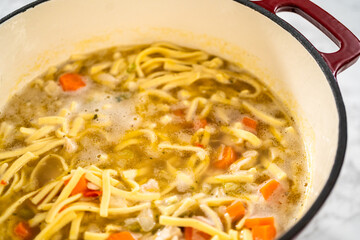 Chicken Noodle Soup