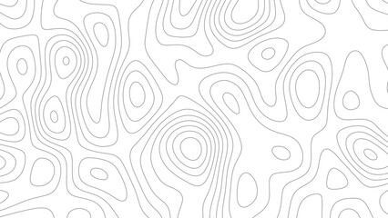 Topography map background. Vector geographic contour map. Modern design with White background with topographic wavy pattern design.	