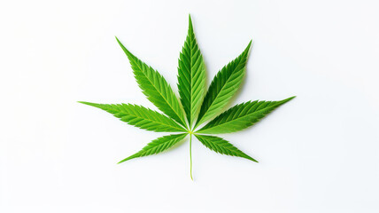 Fototapeta na wymiar Minimalist Cannabis Leaf on White Background