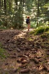 Woman hiker in the pine forest