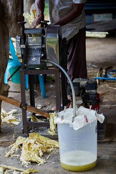 A man queezing sugarcane juice