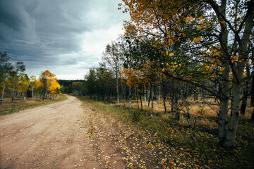 Naklejka premium Moody sky on a mountain dirt road with aspens