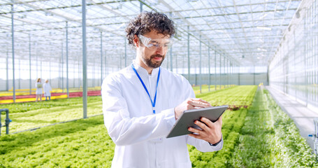 Qualified agricultural inspector using digital tablet for noting progress of lettuce growth at hydroponic vegetables plantation. Concept of modern technology and smart farming.