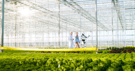 Automatic robot and muslim family walking between rows of organic salad at spacious greenhouse. Smart cyborg talking about new growing system with aquaponics technology.