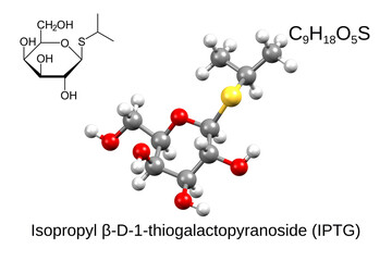 Chemical formula, structural formula and 3D ball-and-stick model of isopropyl β-d-1-thiogalactopyranoside (IPTG), white background