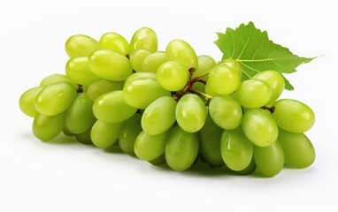 apes on white transparent background 