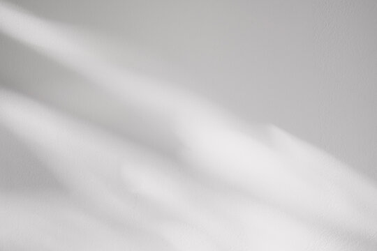 Concrete Texture with Leaves Shadow and Sunlight shining on wall background,Empty Backdrop White,Grey Cement Studio Room display with light reflection from window,Banner for Cosmetic Product Present