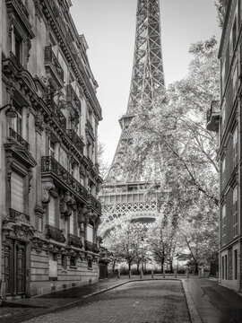 Rue de l'Université with Eiffel Tower in the background