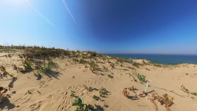 idyllischer Blick von Sandd&uuml;ne aufs Meer mit traumhaftem blauen Himmel und praller Sonne