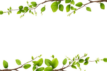 Green branch frame with space for text on transparent background.