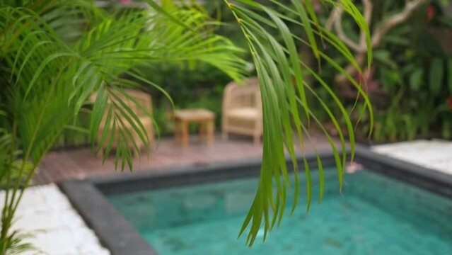 Sunny holiday villa, view at the swimming pool and green leaf, atmosphere shoot. High quality 4k footage