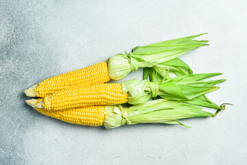 Fresh yellow cobs of organic corn on gray concrete background. Top view.