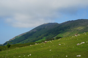 La montagne Artzamendi, au Pays Basque