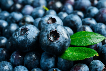 Blueberry berries, close-up macro photo. Fresh blue berries.