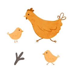 Set of Cartoon domestic chickens. Digital hand drawn farm birds illustration for textile design, poster, postcard. Cartoon style character drawing for printing on an isolated background