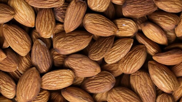Apricot kernels peeled close-up as a background. Apricot grains heap isolated on white background.