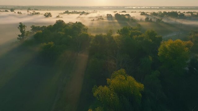 Morning fog smoke river nature park nature sky travel outdoor