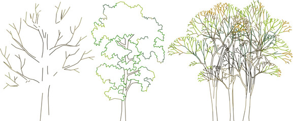 Vector sketch illustration of tree and plant designs for complete images and clipart