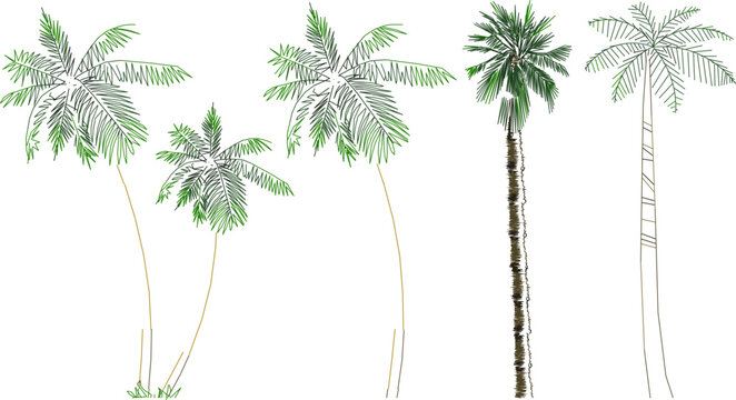 Vector sketch illustration of tree and plant clipart design to complete the image