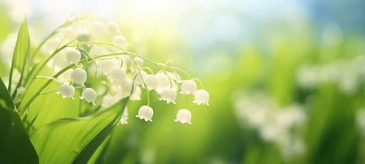 Poster Convallaria majalis, lily of the valley flowers, ai © Rachel Yee Laam Lai