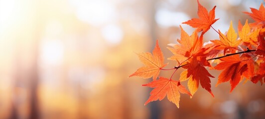 Naklejka na ściany i meble maple tree leaves fall autumn season, ai