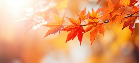 Fototapeta premium maple tree leaves fall autumn season, ai
