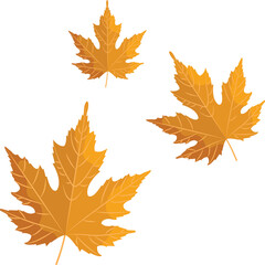 autumn leaves vector image or clipart