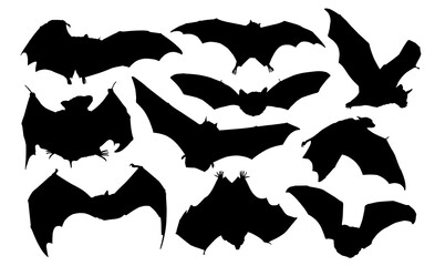 The set of bat silhouettes.
