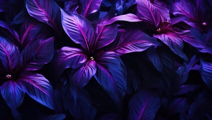 Purple tropical leaves luminous background