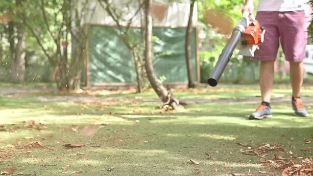 Cordless Leaf Blowers. handheld, cordless, electric leaf blower in a garden, selective focus. Autumn, fall gardening works in a backyard, on a lawn, grass. Garden works.