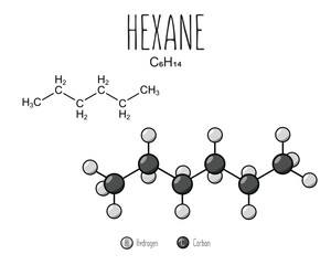 Hexane skeletal structure and flat model representation, isolated on a blank background. Vector editable