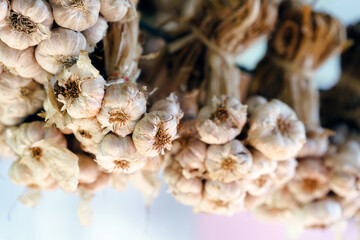 Close up white garlic hung on a rope to be used in cooking. Selective focus.