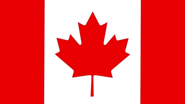 Animated plane flying over the the flag of Canada animation.