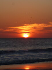 Sunset with birds in Nicaragua 